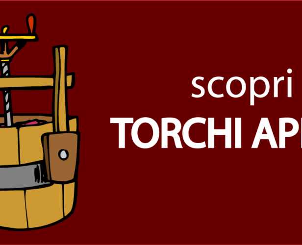117597_TorchiIMG1