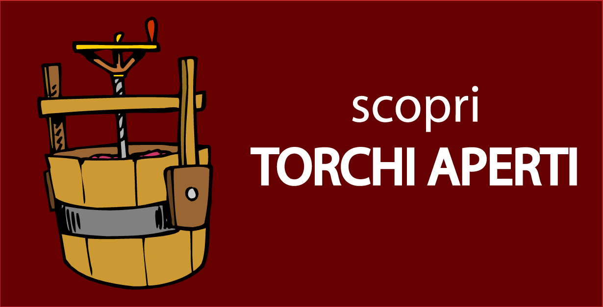 117597_TorchiIMG1