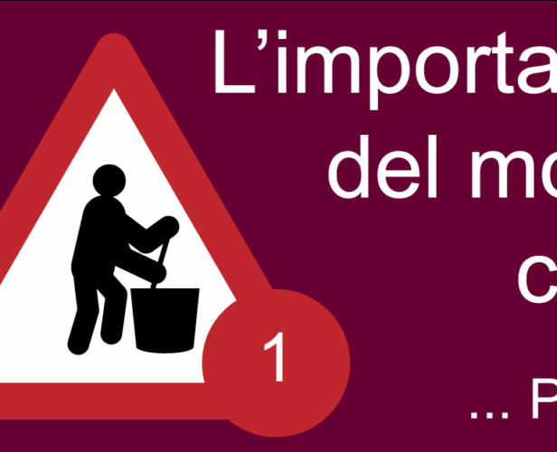 107532_Limportanzadelmostocotto1