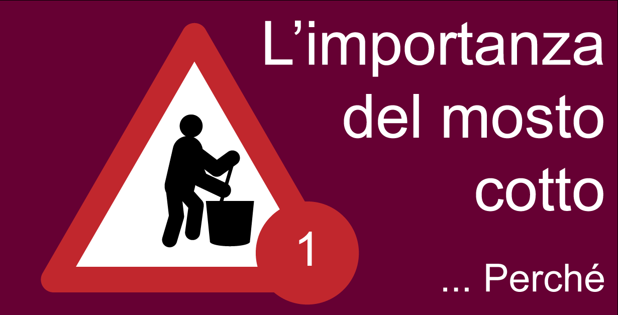 107532_Limportanzadelmostocotto1
