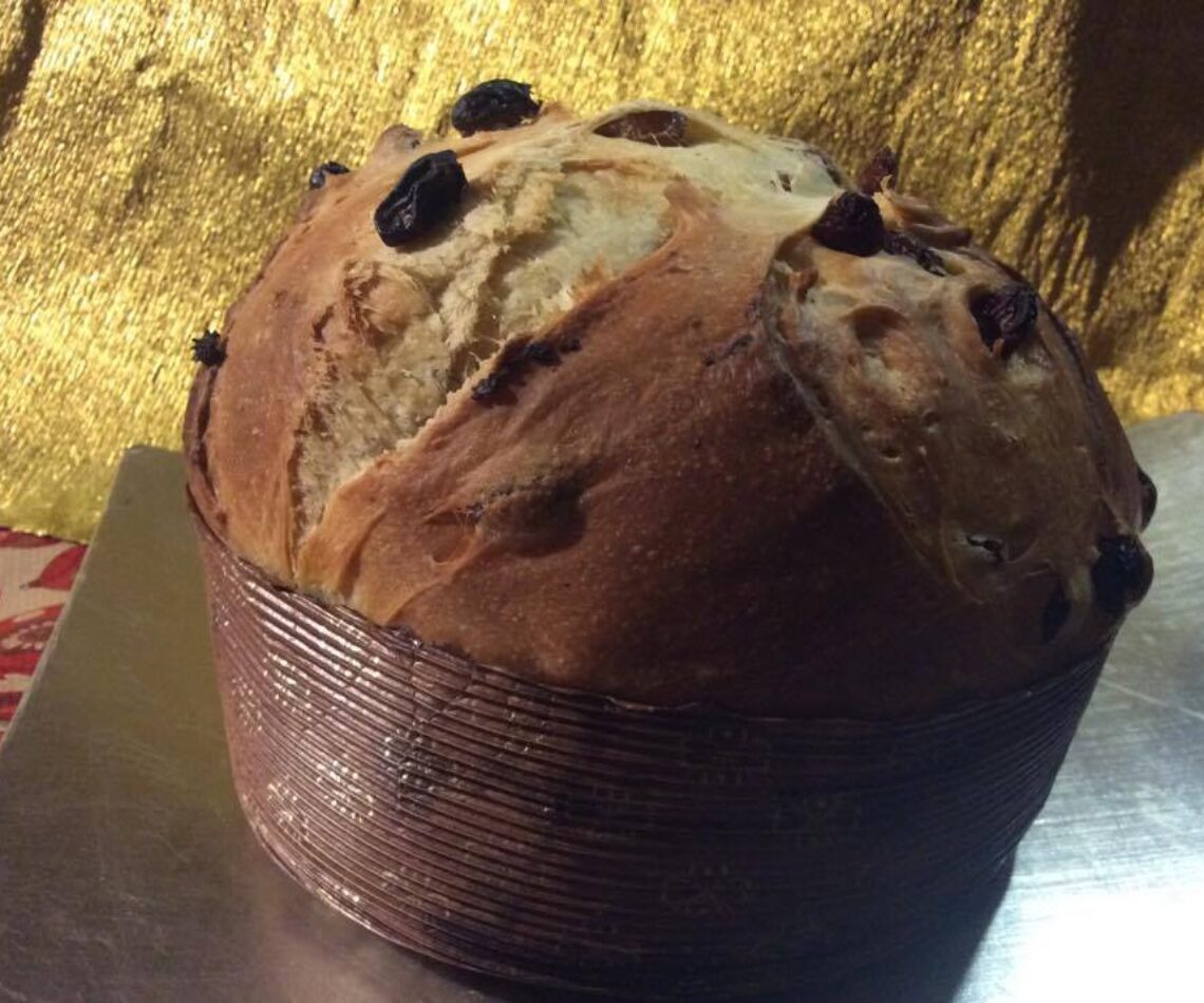 CoverPanettone