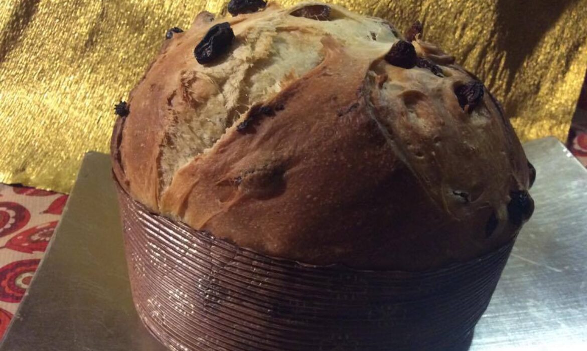 CoverPanettone