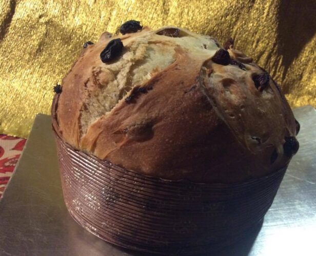 CoverPanettone