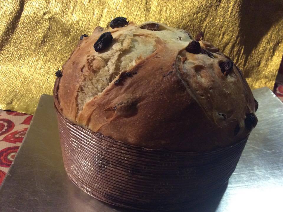 CoverPanettone