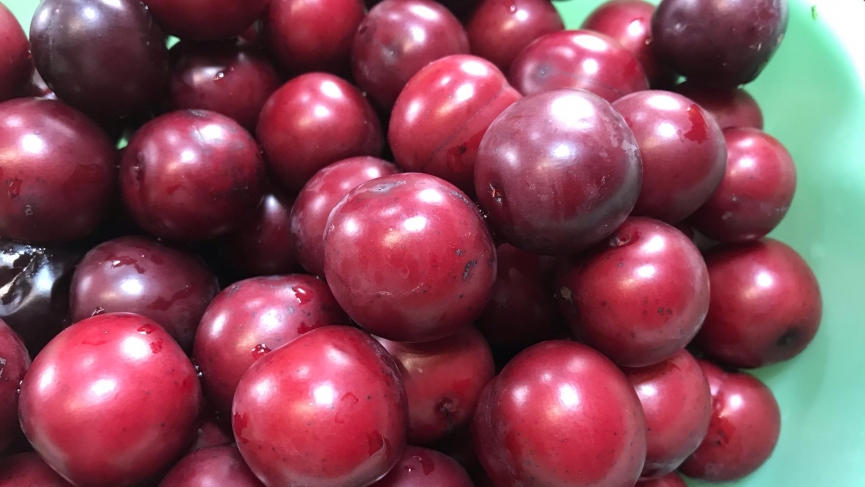 CroppedFocusedImage865487-MarmellataMarusticani1