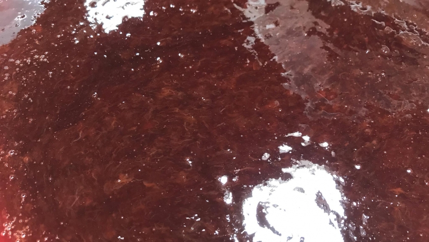 CroppedFocusedImage865487-MarmellataMarusticani7