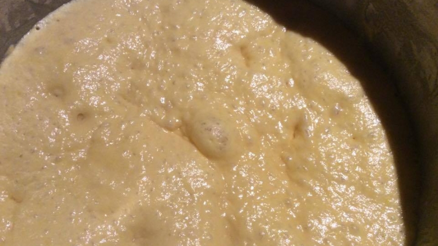 CroppedFocusedImage865487-Panettone08