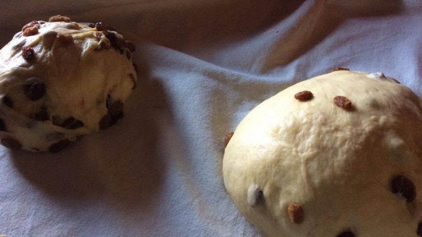 CroppedFocusedImage865487-Panettone12