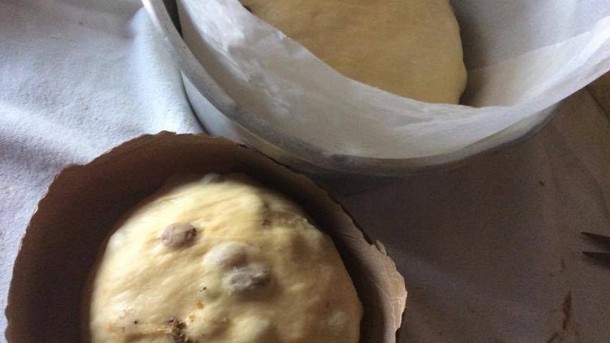 CroppedFocusedImage865487-Panettone13