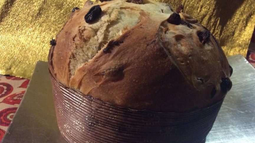 CroppedFocusedImage865487-Panettone15